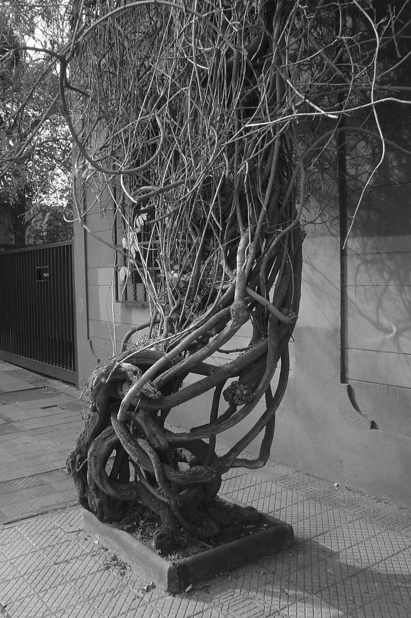 Tasacenter-Chile- tasaciones-perito judicial - chequeo pre-compra- real estate- cuanto vale tu propiedad-tasadores-marjoreyesf